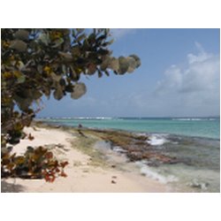057_sandy_island.JPG