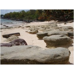 058_sandy_island.JPG