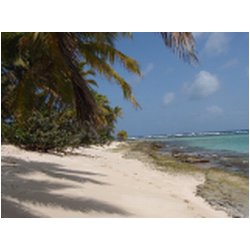 059_sandy_island.JPG