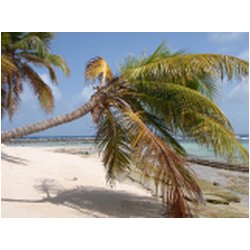 061_sandy_island.JPG