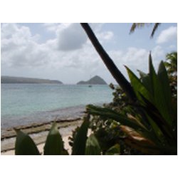 062_sandy_island.JPG