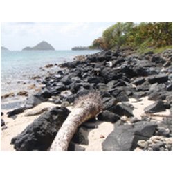 063_sandy_island.JPG