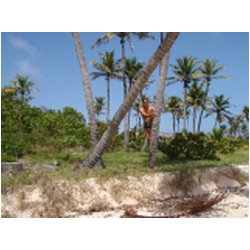064_sandy_island.JPG