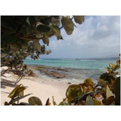 066_sandy_island.JPG