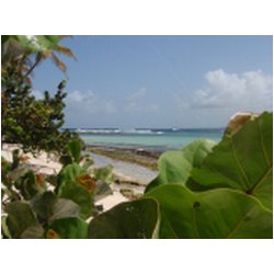 067_sandy_island.JPG