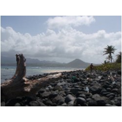 068_sandy_island.JPG