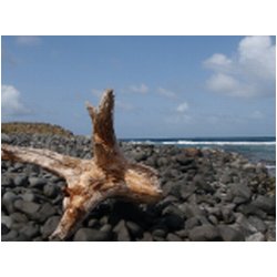 071_sandy_island.JPG