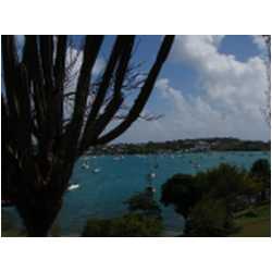 015_prickly_bay.JPG