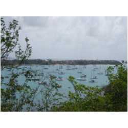 023_prickly_bay.JPG