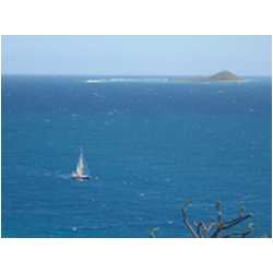 072_palm_island.JPG