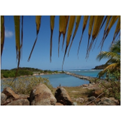 044_little_jost_van_dyke.JPG