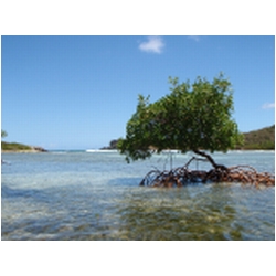 064_little_jost_van_dyke.JPG
