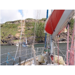 038_flores.JPG